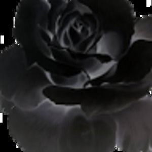 Meet your Posher, Autumn